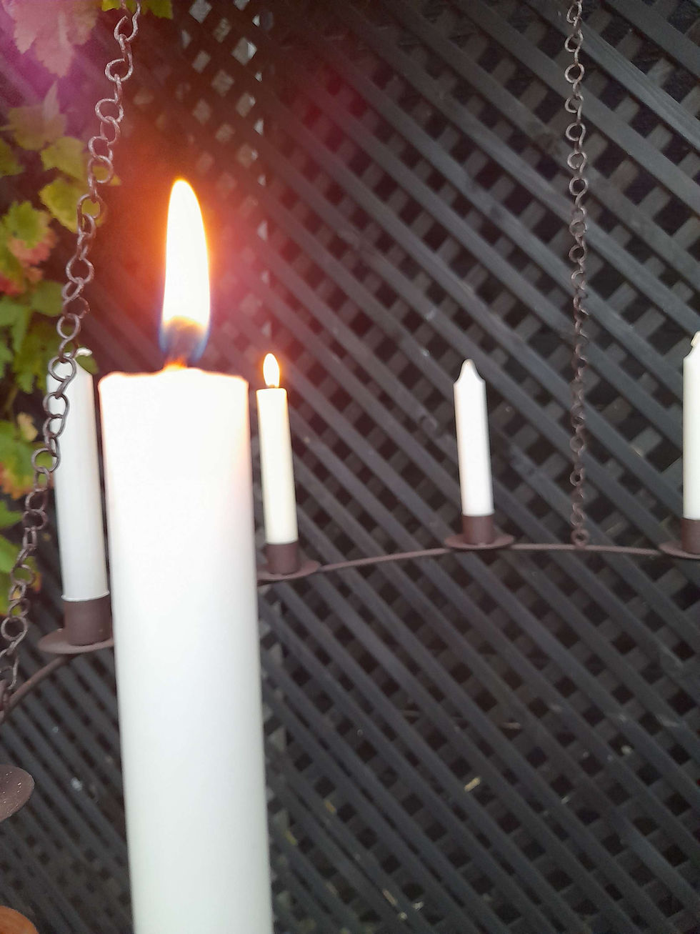 Thumbnail: Rustic Chandelier 9 Holder