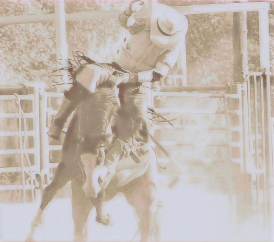 DSC05348_edited_edited_edited_edited_edi