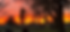 IMG_2777.PNG