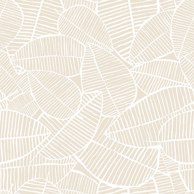 iStock-919407254.jpg