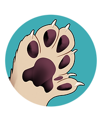 220705aboutUs-2.png