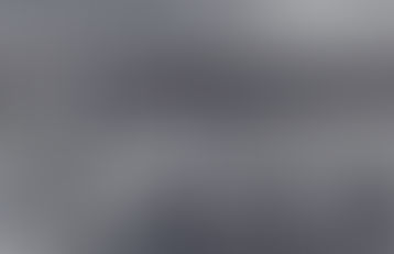 Het bijenvolk in de winter