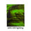 Thumbnail: 8x10 in Stained Glass: Medium Green w/Streaks of Brown