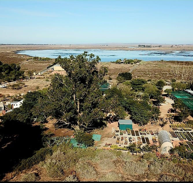 Cultivating Our Dream: Bokmakierie Nursery & Homestead home of Soil-to-Soil Learning Centre