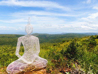Nature Conservancy in Kenya