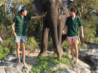 Volunteering at a Tiger Sanctuary in India