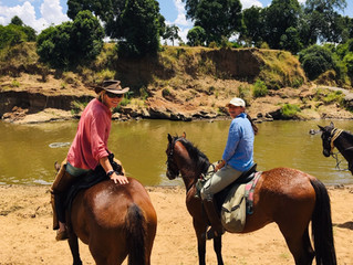Volunteering at Offbeat Horse Safari in Kenya and Empowerment Centre in India