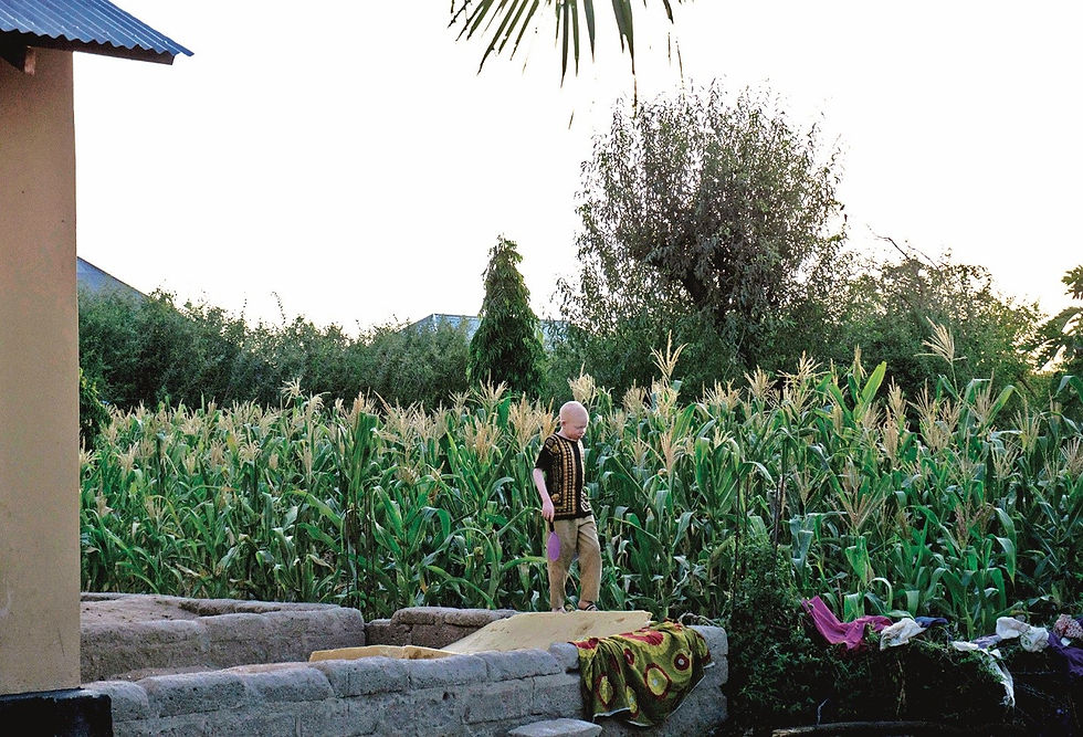 behebe walking by corn.jpg