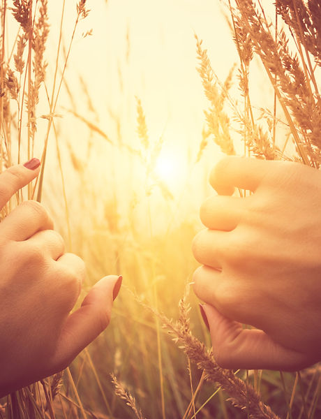 iStock-487462742.jpg
