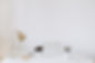 AdobeStock_332113864_Preview_edited.jpg