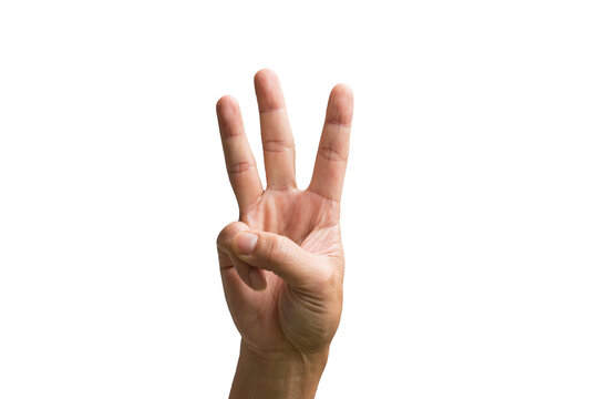 three.jpg