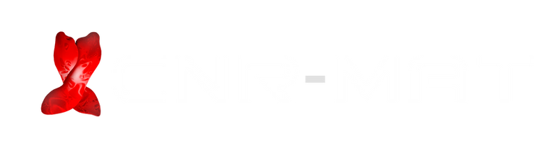 CNRMAT_Logo_def copie 4.png