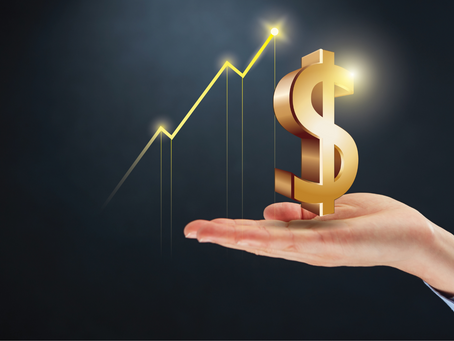 Fature 1 milhão por ano: Rumo ao sucesso financeiro