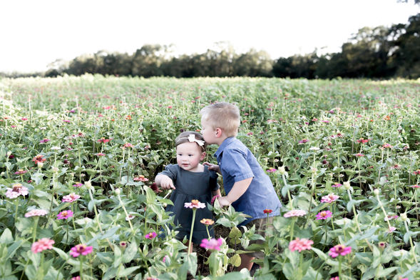 TODDLERS IN ZINNIA FIELDS