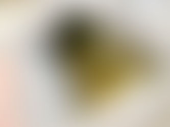 Duckling Growth and Timeline