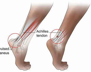 WhatsApp Image 2025-09-02 at 15.34.37.jpeg