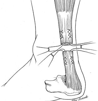 WhatsApp Image 2025-09-02 at 15.35.12.jpeg