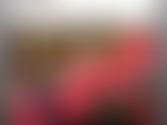 El Gobierno Municipal de San Miguel de Allende informa a la ciudadanía que la imagen que circula en redes sociales sobre un supuesto primer artista confirmado para la Feria San Miguel de Allende 2026 es completamente falsa.