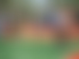 NIÑAS Y NIÑOS HICIERON SUYO EL BOSQUE DEPORTIVO ESTE VERANO