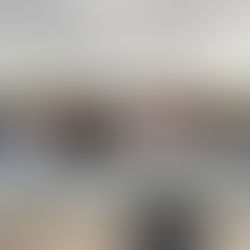 En San Miguel de Allende, cada acción que impulsa la calidad de vida de las familias también fortalece el tejido social y dignifica los sueños de quienes han trabajado toda su vida por un hogar mejor. Con esa visión humana y de cercanía con la gente, el Gobierno Municipal encabezado por Mauricio Trejo puso en marcha el Programa de Mejoramiento de Vivienda 2025, llevando esperanza, bienestar y oportunidades reales a las comunidades y zonas urbanas del municipio.