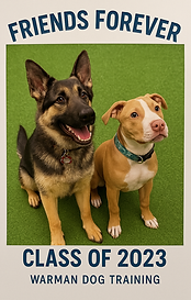 Puppy class friendship