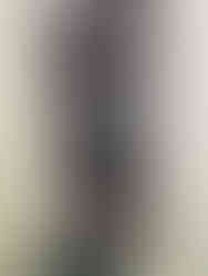 New electrical panel professionally installed and organized. Upgraded to meet current code standards