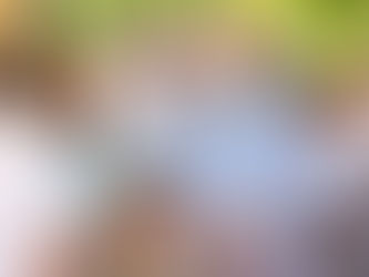 Proslava blagdana Velike Gospe u Aljmašu