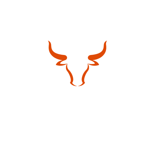 Longhorn Boat & RV Storage Logo, Orange longhorn head between the business name