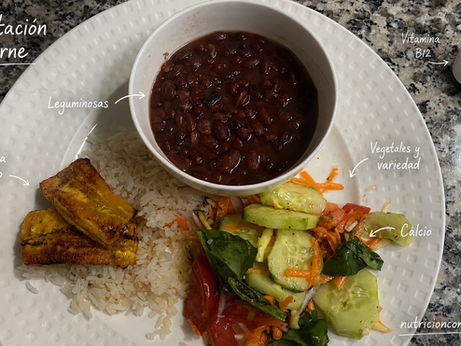 Alimentación sin carne bien planificada