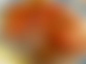 Crepas rústicas de avena sin gluten servidas con yogur vegetal, papaya fresca y mermelada, ejemplo de desayuno sin gluten a base de alimentos de origen vegetal.