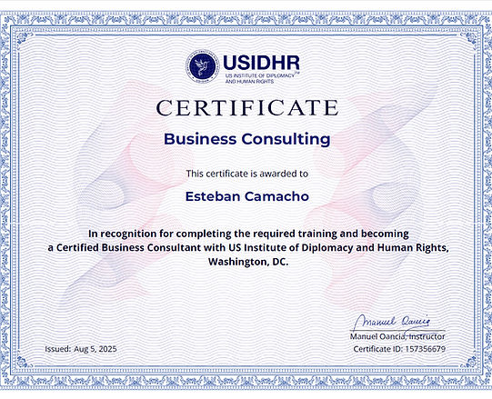 Business Consultant Diploma Esteban.jpg