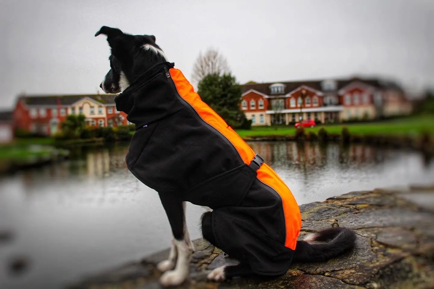 Thumbnail: Jaegr Supreme Dog Coat