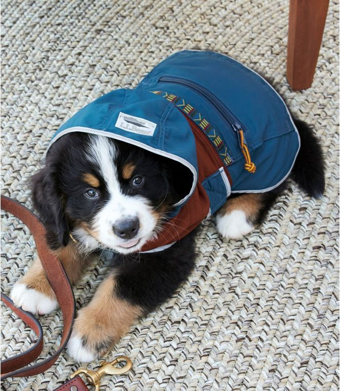 LLBEAN Mountain Classic Dog Anorak