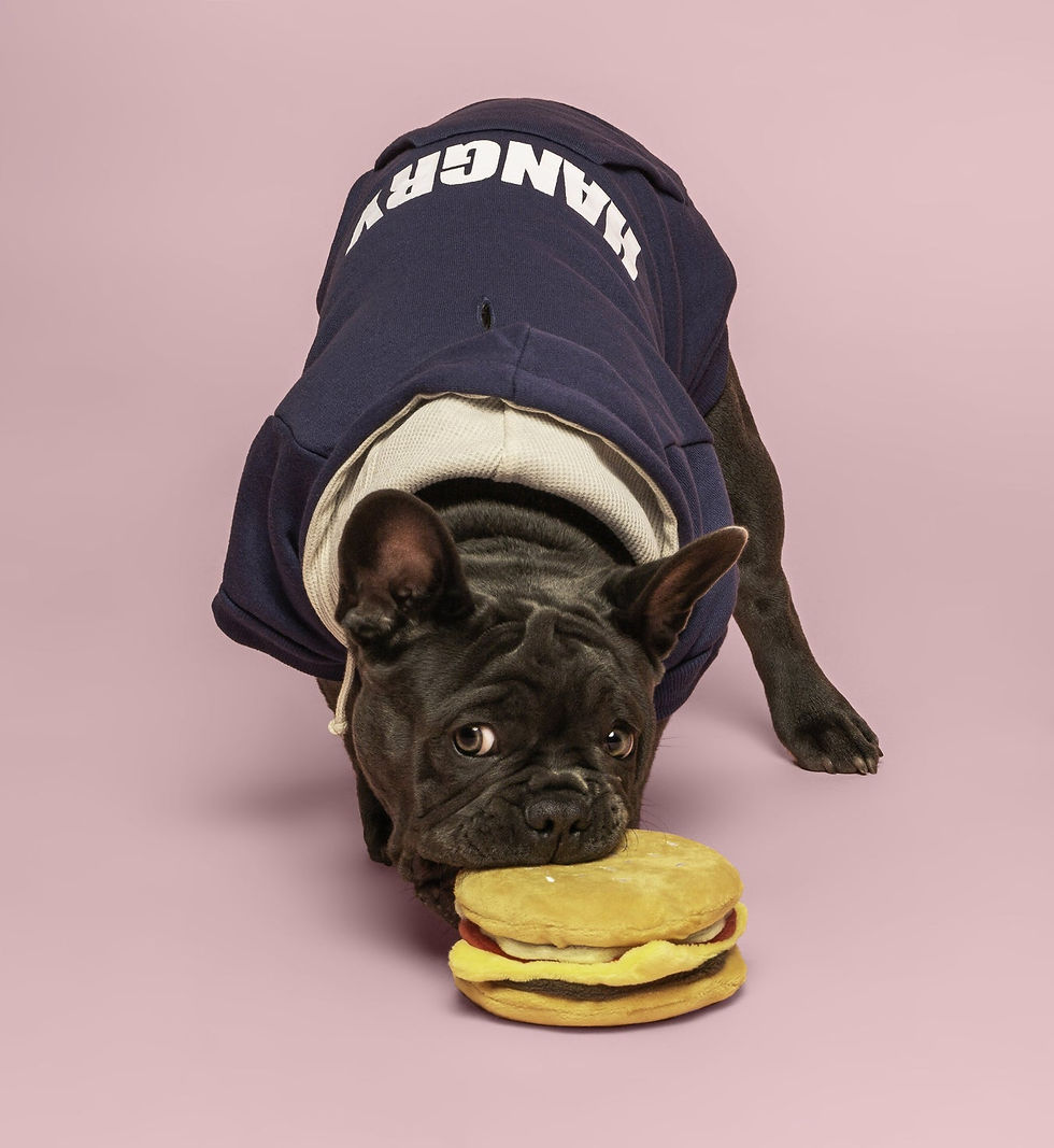 サムネイル： fabdog big fab cheeseburger toy