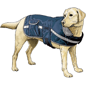 Thumbnail: Duluth Trading Company dog jacket
