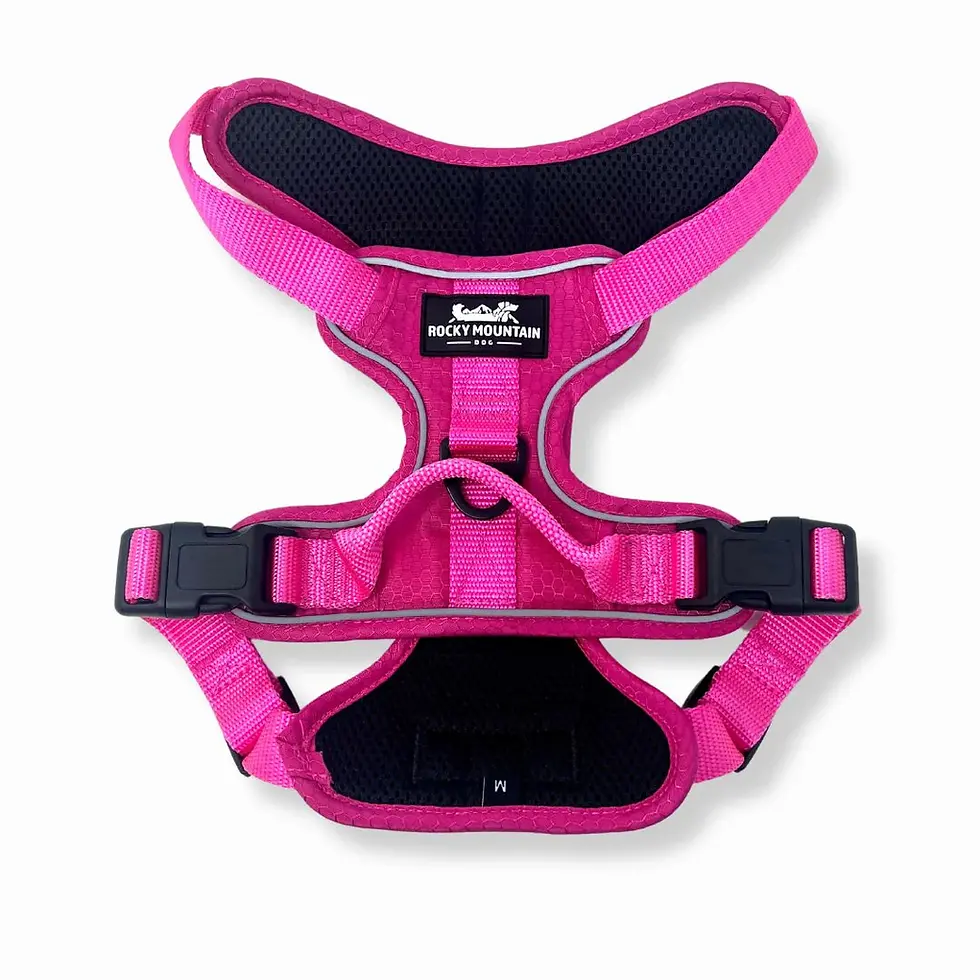 Thumbnail: Summit All-Terrain Harness by Rocky Mountain Dog