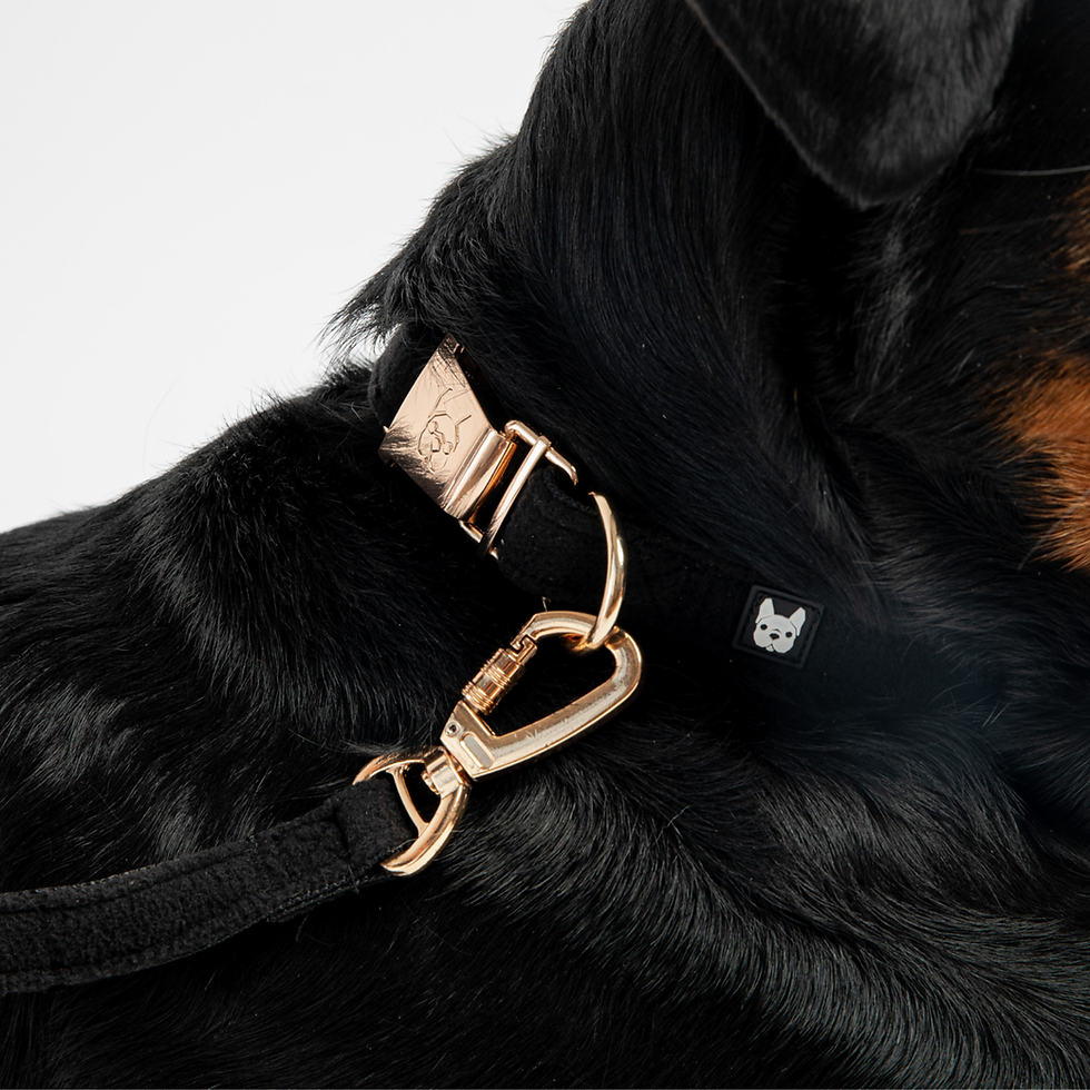 サムネイル： Silver Paw Aquafleece Collar Black