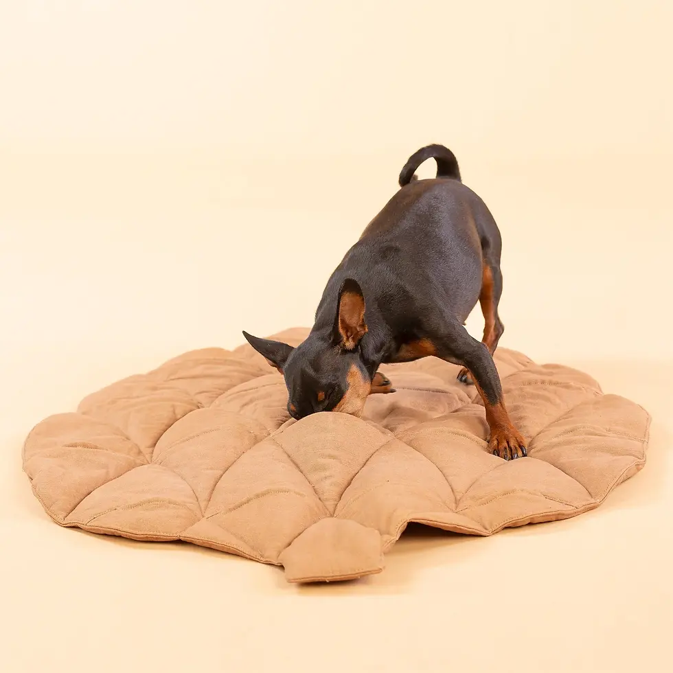 Miniatura: Paikka Pine Cone Playmat