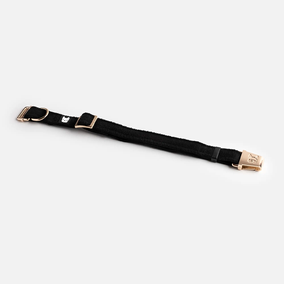 サムネイル： Silver Paw Aquafleece Collar Black