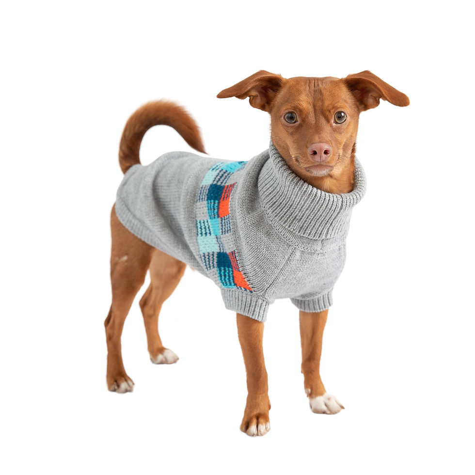 サムネイル： GF pet winter sailor sweater grey