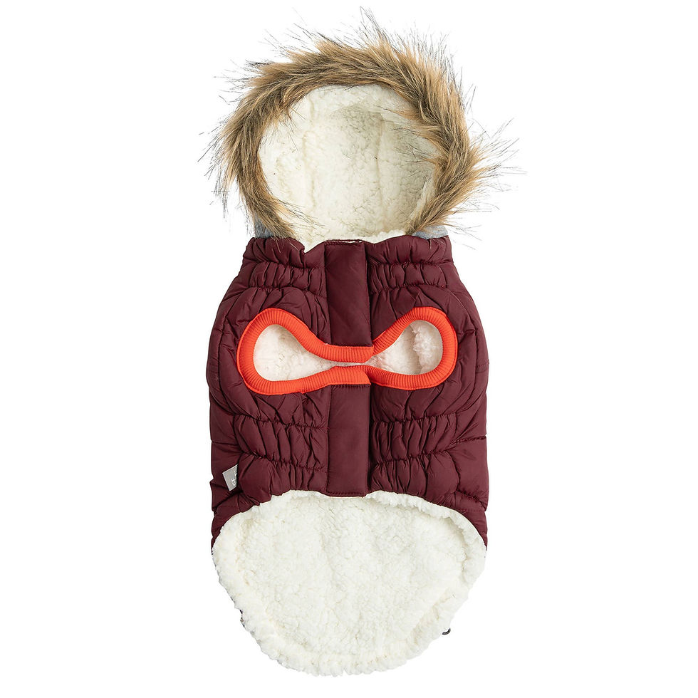 サムネイル： GF  Coat