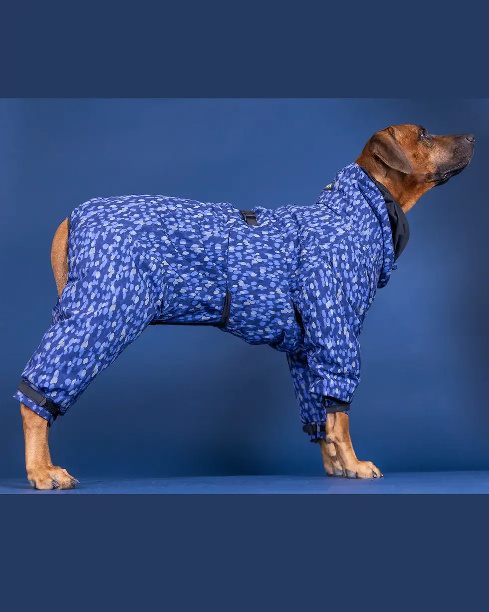 サムネイル： Paikka Winter Suit (Blue)