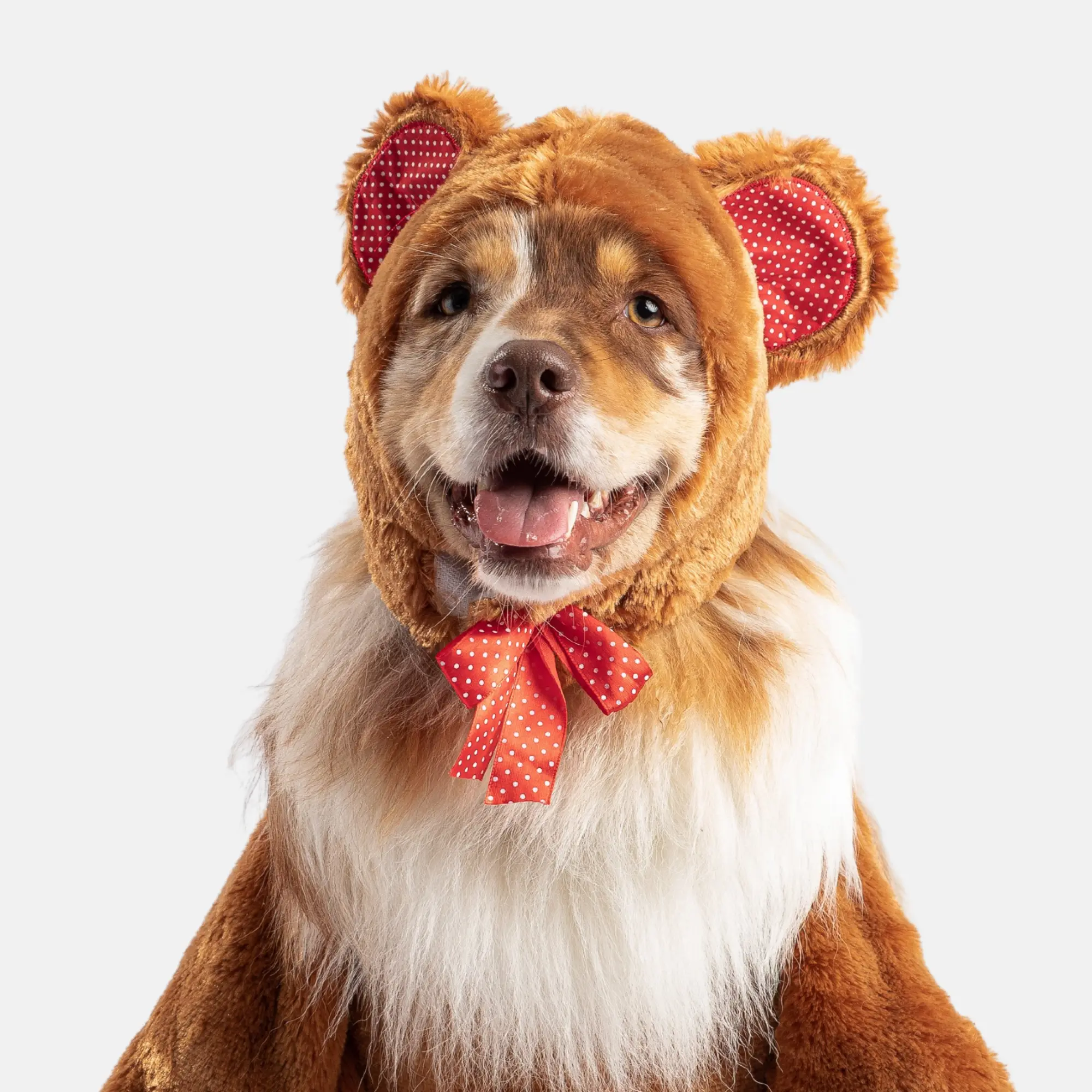 Teddy Bear Costume