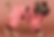 Paikka Red Suit Upscale.png