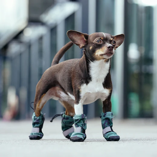 Canada Pooch Soft-shield Boots  (CAMO-4 PACK)