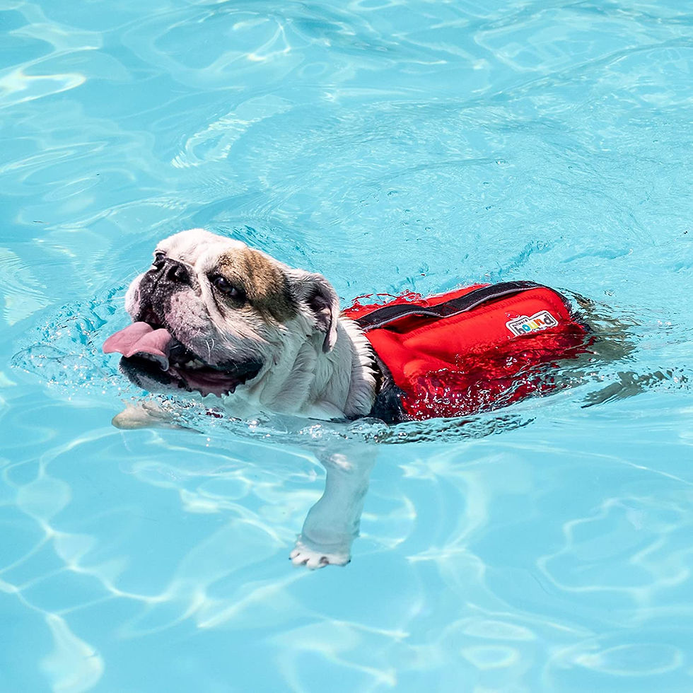 サムネイル： Outward Hound Dawson Swim (Red)