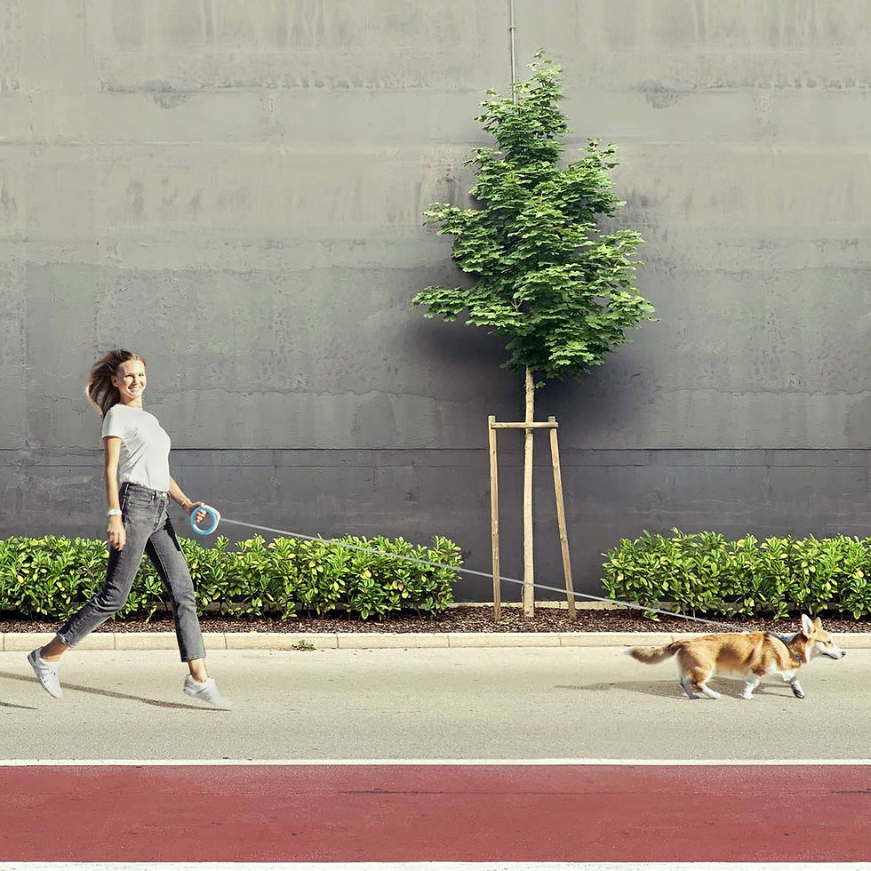 サムネイル： Wau Dog retractable leash