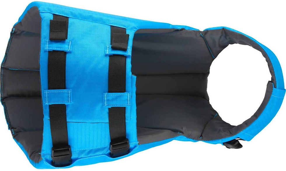 サムネイル： NRS Canine Floatation Device Teal