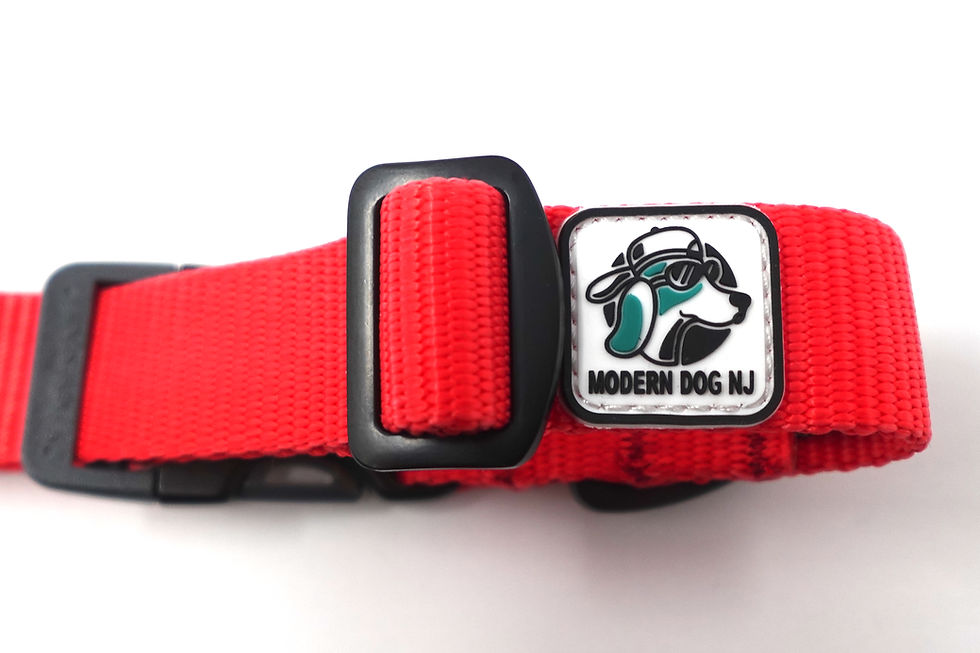 サムネイル： The Modern Dog "Toby Collar"