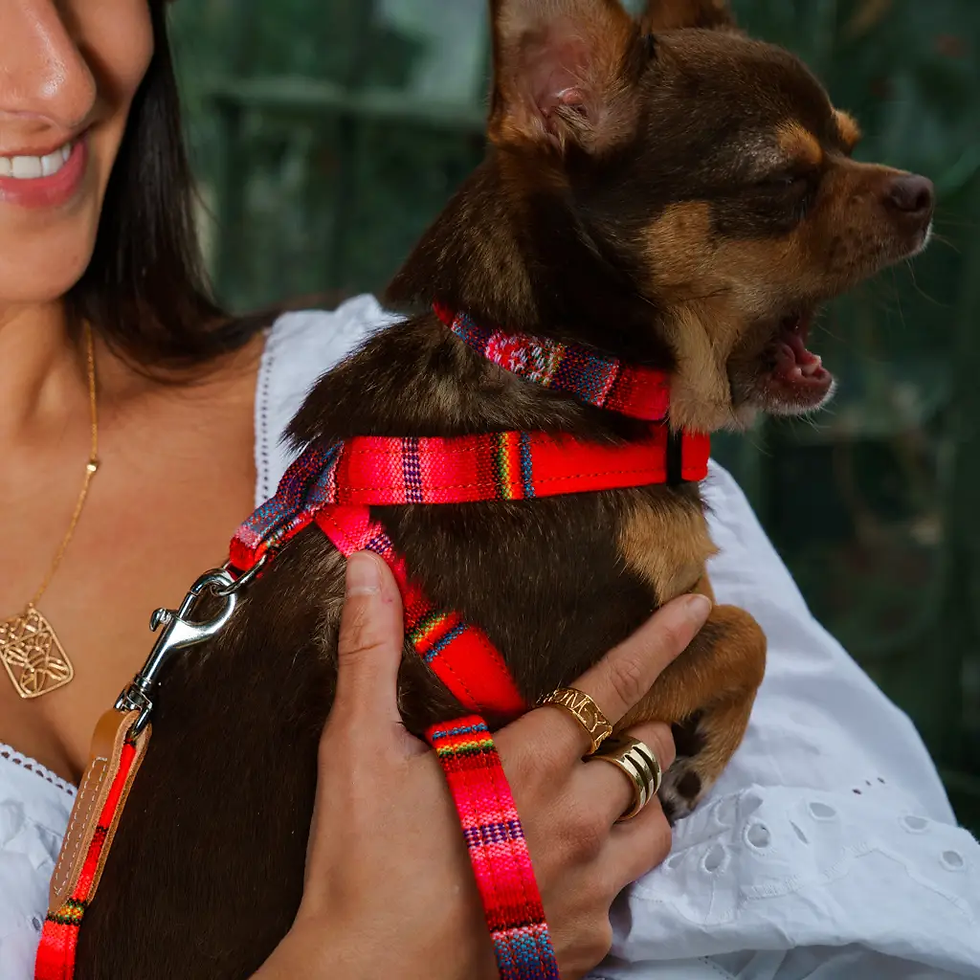 サムネイル： Inca Harness